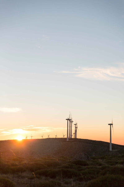 Parc éolien au coucher du soleil, représentant l’énergie renouvelable, la transition énergétique et le développement durable.
